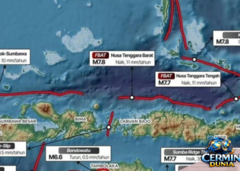 Gempa M7,7 Guncang Flores NTT